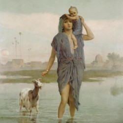 A young mother and a goat